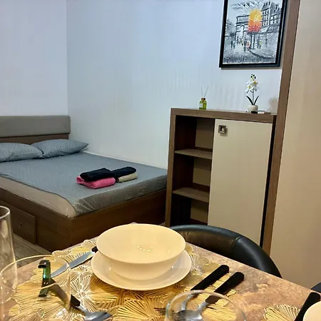 Cozy 1 Apartment
